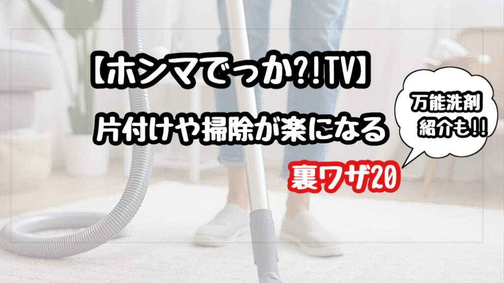 ホンマでっかTV 掃除　片付け　裏ワザ　洗剤