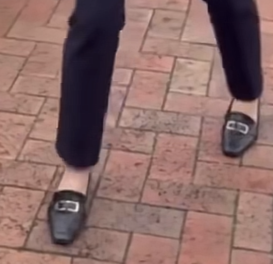 小野田紀美の靴はどこのブランド？購入方法や値段まとめ