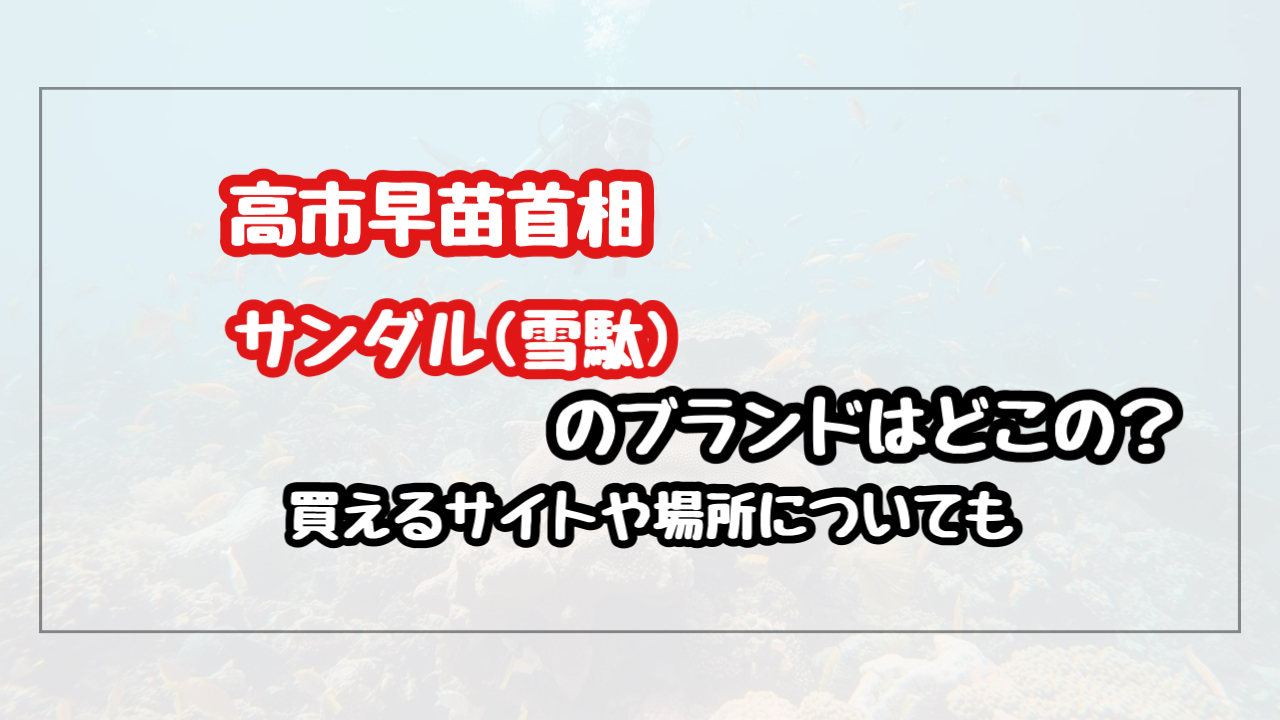高市早苗首相のサンダル（雪駄）のブランドはどこの？買える場所についても